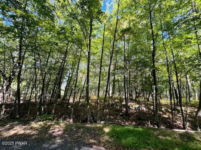 Lot 425 Corner Squirrel & Robin Lane, Dingmans Ferry, PA 18328 - Image #2