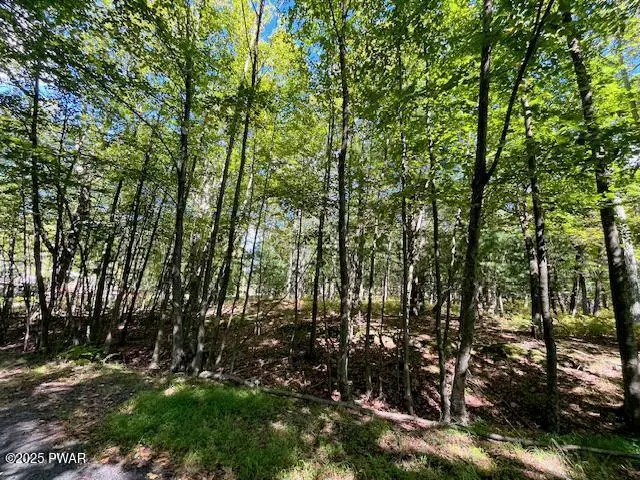 Lot 425 Corner Squirrel & Robin Lane, Dingmans Ferry, PA 18328 - Image #3