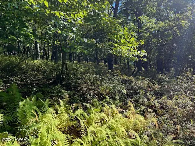Lot 426 Squirrel Road, Dingmans Ferry, PA 18328 - Image #2
