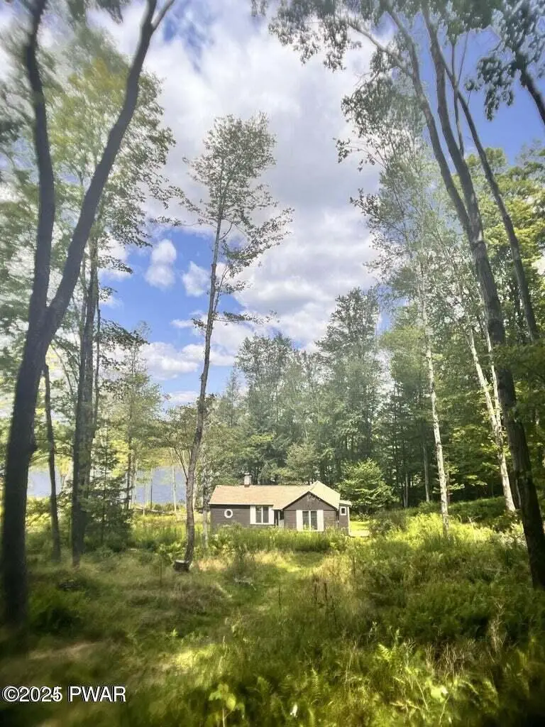 23 Little Spruce Lane Lane, Lakewood, PA 18439 - Image #1