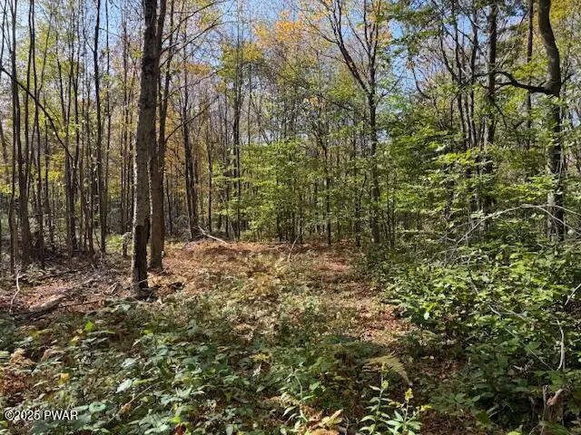 Fairmont Road Road, Starrucca, PA 18462 - Image #1