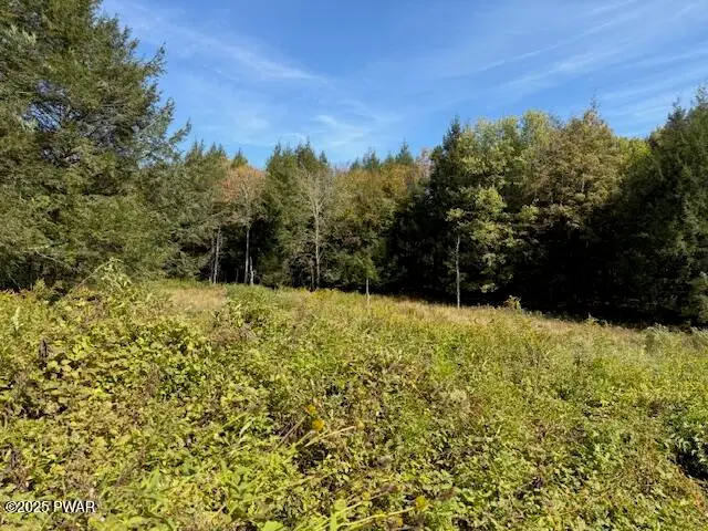 Fairmont Road Road, Starrucca, PA 18462 - Image #2