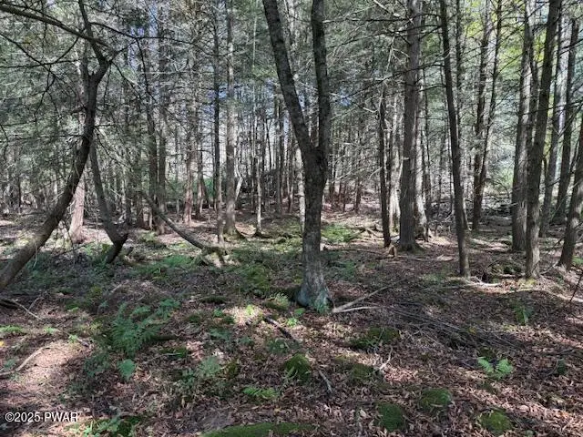 Fairmont Road Road, Starrucca, PA 18462 - Image #3