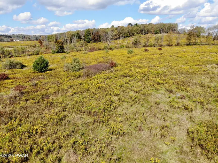 Slater Road, Beach Lake, PA 18405 - Image #3