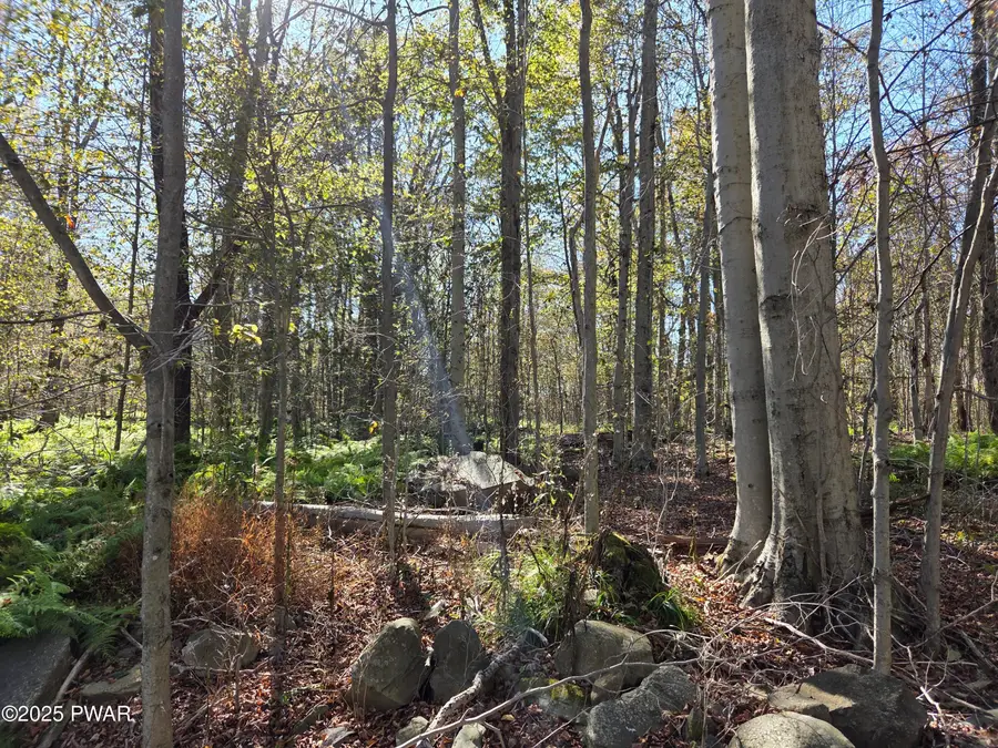 State Park Rd Road, Gouldsboro, PA 18424 - Image #3