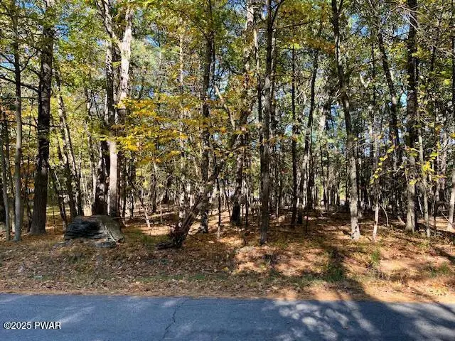 Lot 33 Primrose Lane, Dingmans Ferry, PA 18328 - Image #2