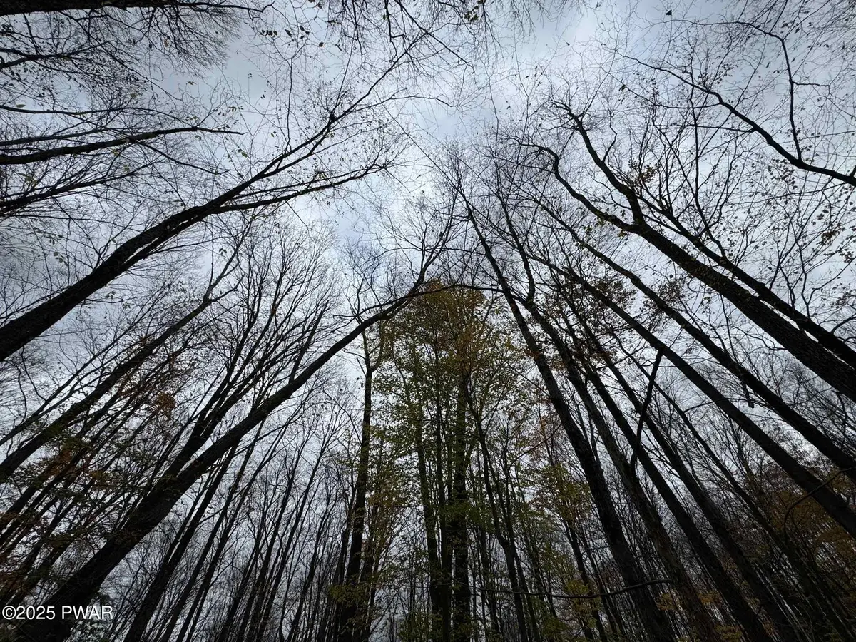 14 Hemlock Lane, Lake Ariel, PA 18436 - Image #1