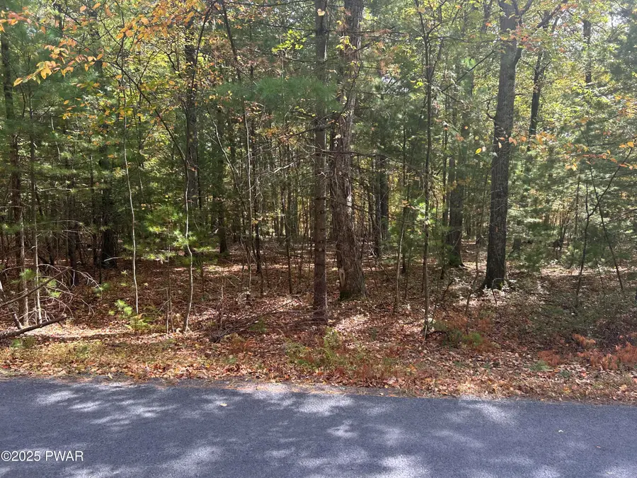 Lot 24 White Pine Drive, Dingmans Ferry, PA 18328 - Image #3