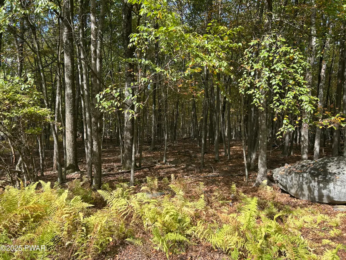 Lot 251 W Chipmunk Road, Bushkill, PA 18324 - Image #1