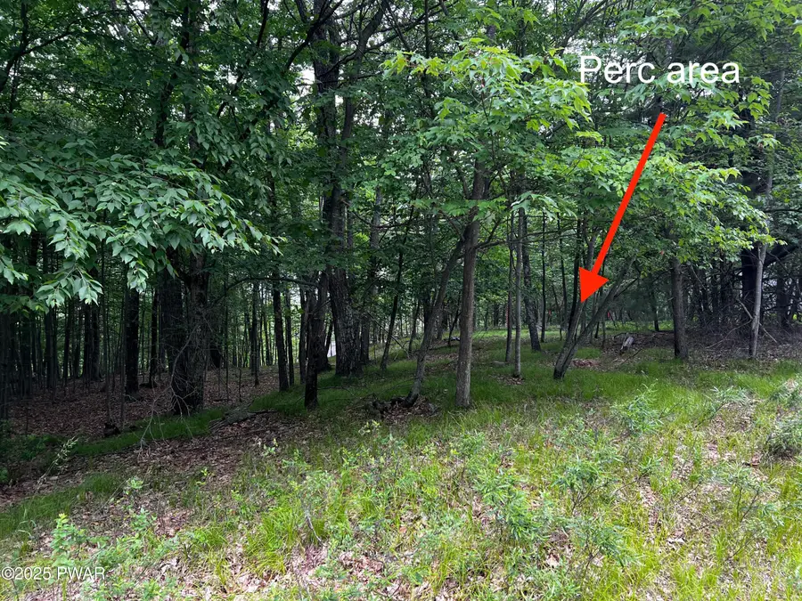 177 Gunstock Lane, Tafton, PA 18464 - Image #3