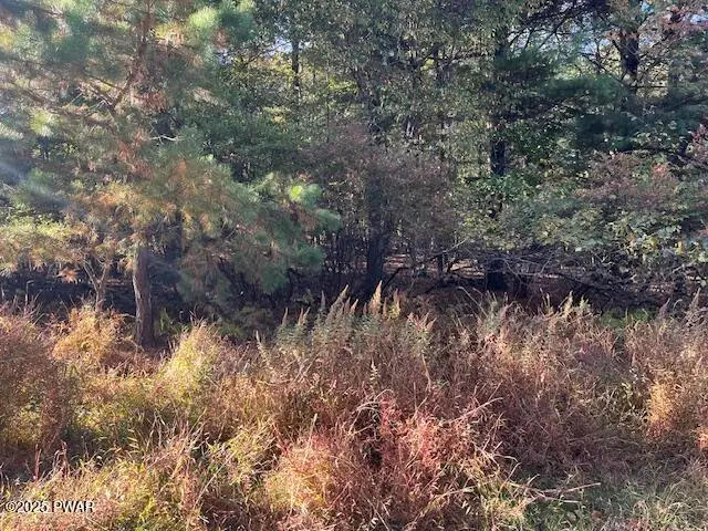 Lot 250 Squirrel Road, Dingmans Ferry, PA 18328 - Image #2