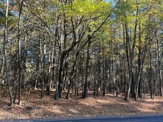 Lot 36 Fox Road, Dingmans Ferry, PA 18328 - Image #2