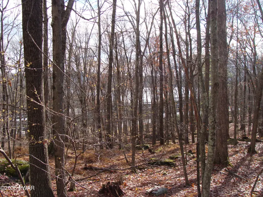 Ojibway Drive, Lakeville, PA 18438 - Image #3