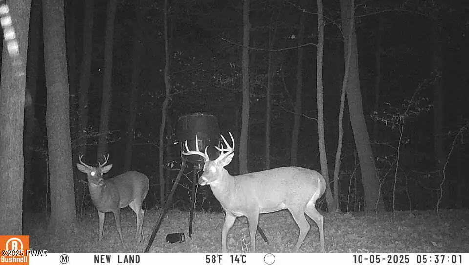 4, 5, 6, 7 Secluded Lake Road, Newfoundland, PA 18445 - Image #1