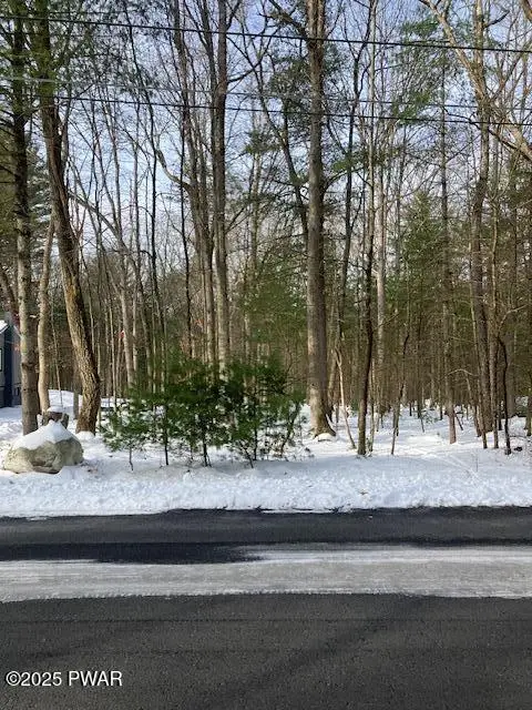 Lot 4 Fox Road, Dingmans Ferry, PA 18328 - Image #3