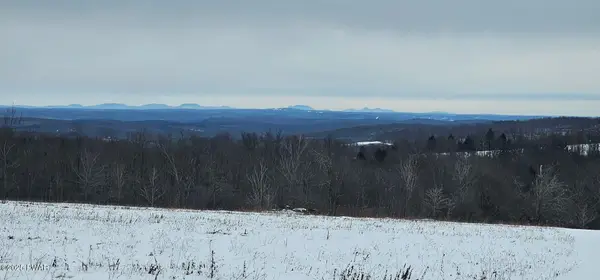 224 Cribbs Road, Pleasant Mount, PA 18453