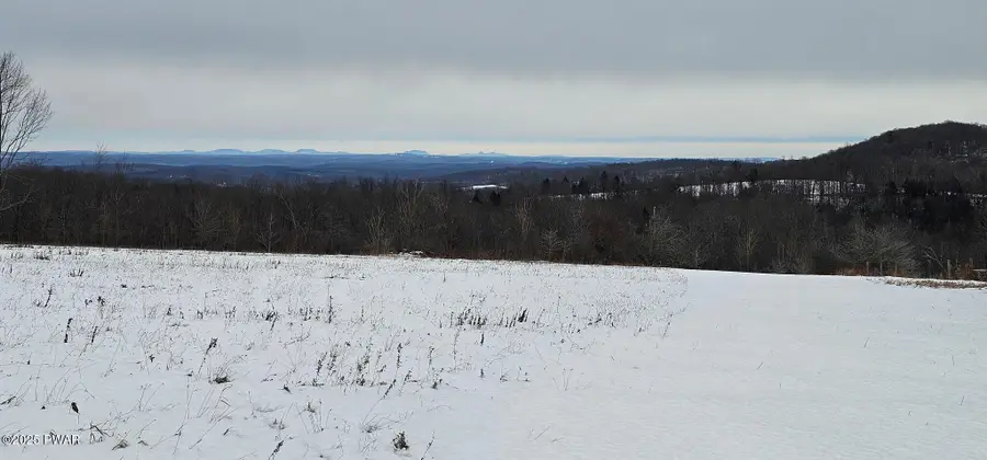 224 Cribbs Road, Pleasant Mount, PA 18453 - Image #3