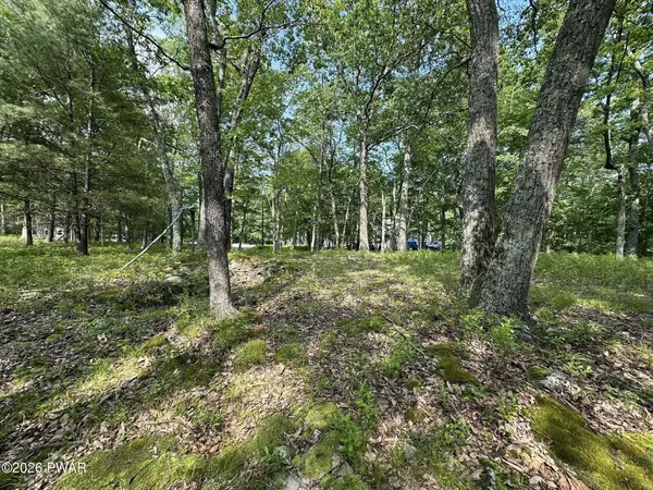 W Colang Court, Lackawaxen, PA 18435