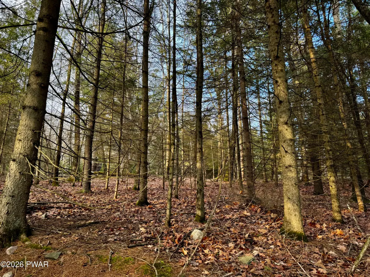 103 Berger Road, Matamoras, PA 18336 - Image #1