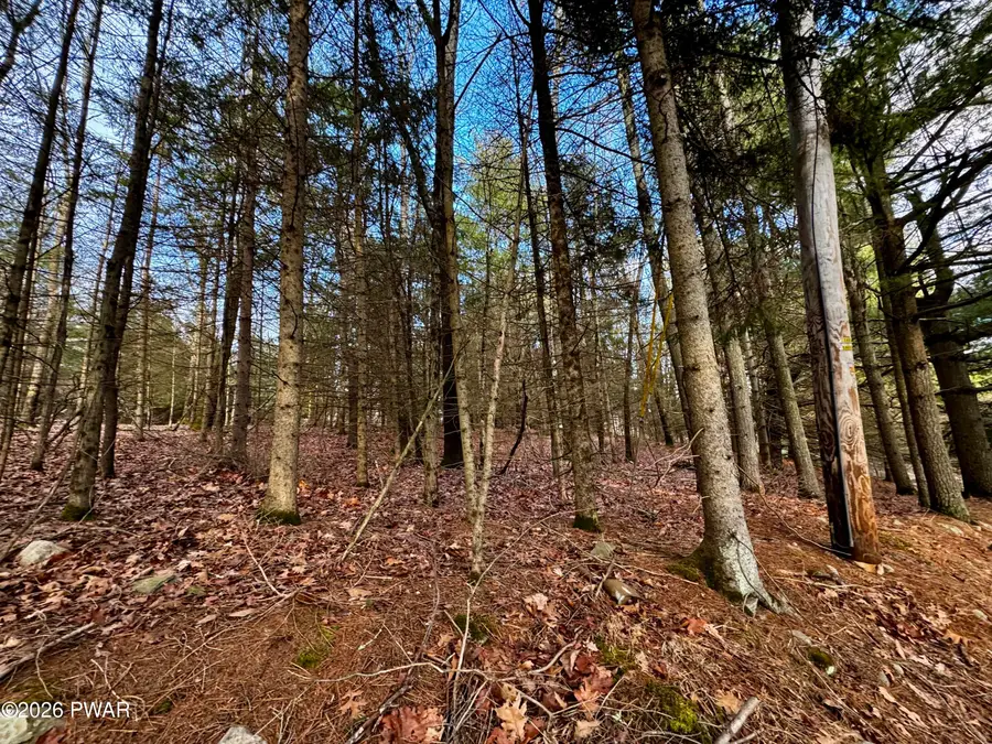 103 Berger Road, Matamoras, PA 18336 - Image #3