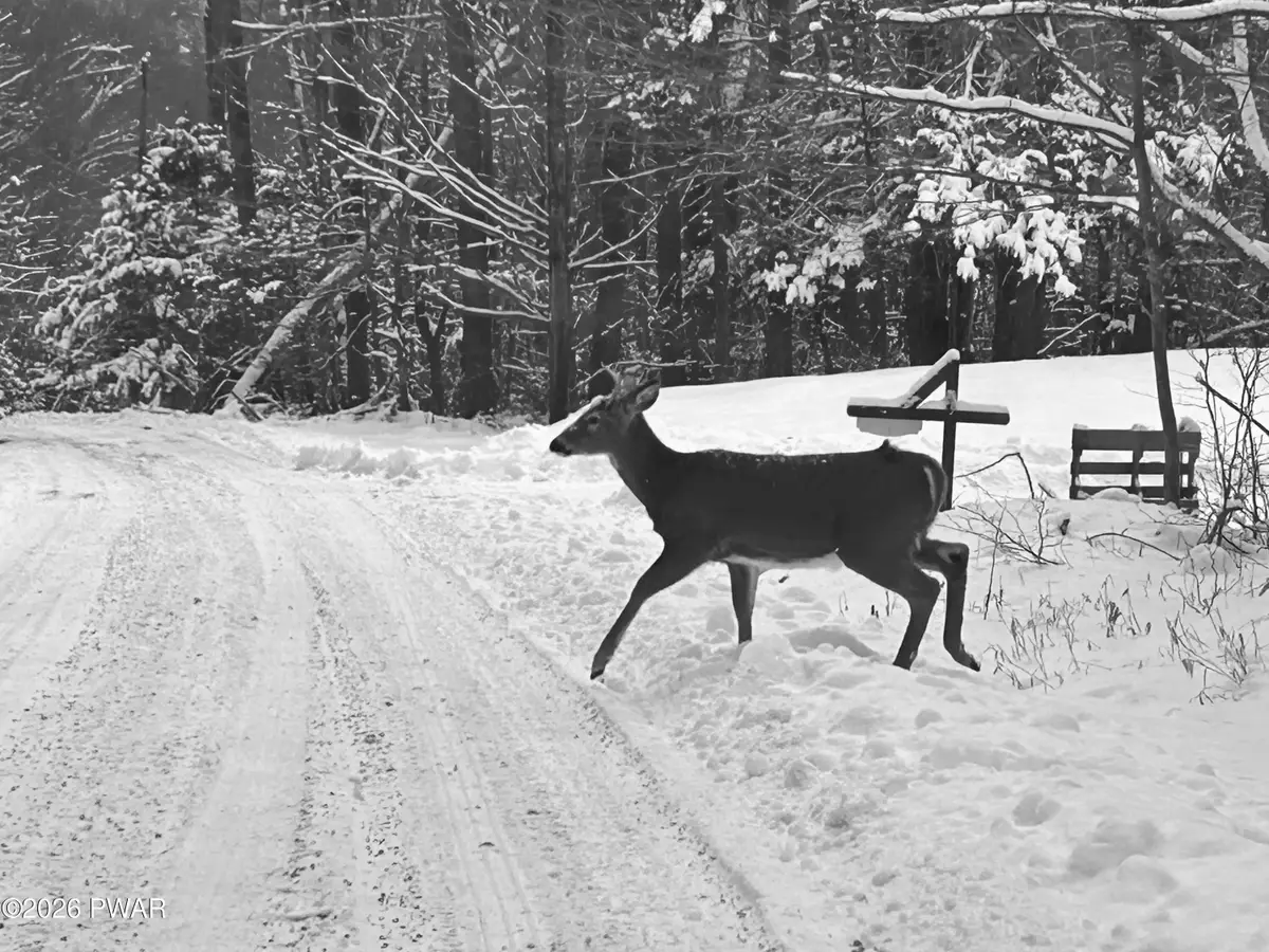 Lot 15 Game Trail Drive, Greentown, PA 18426 - Image #1