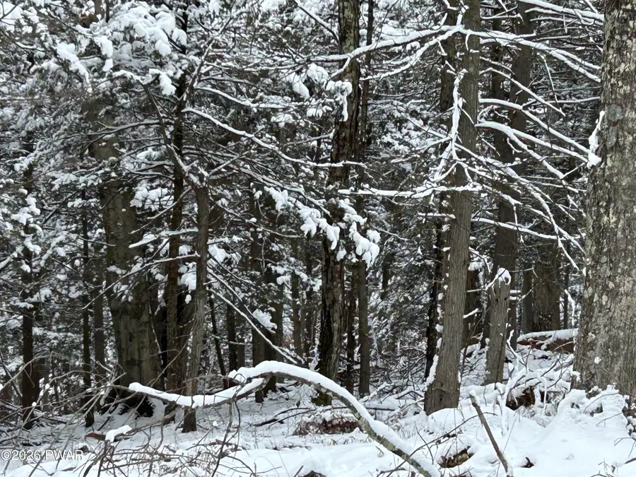 Lot 15 Game Trail Drive, Greentown, PA 18426 - Image #3