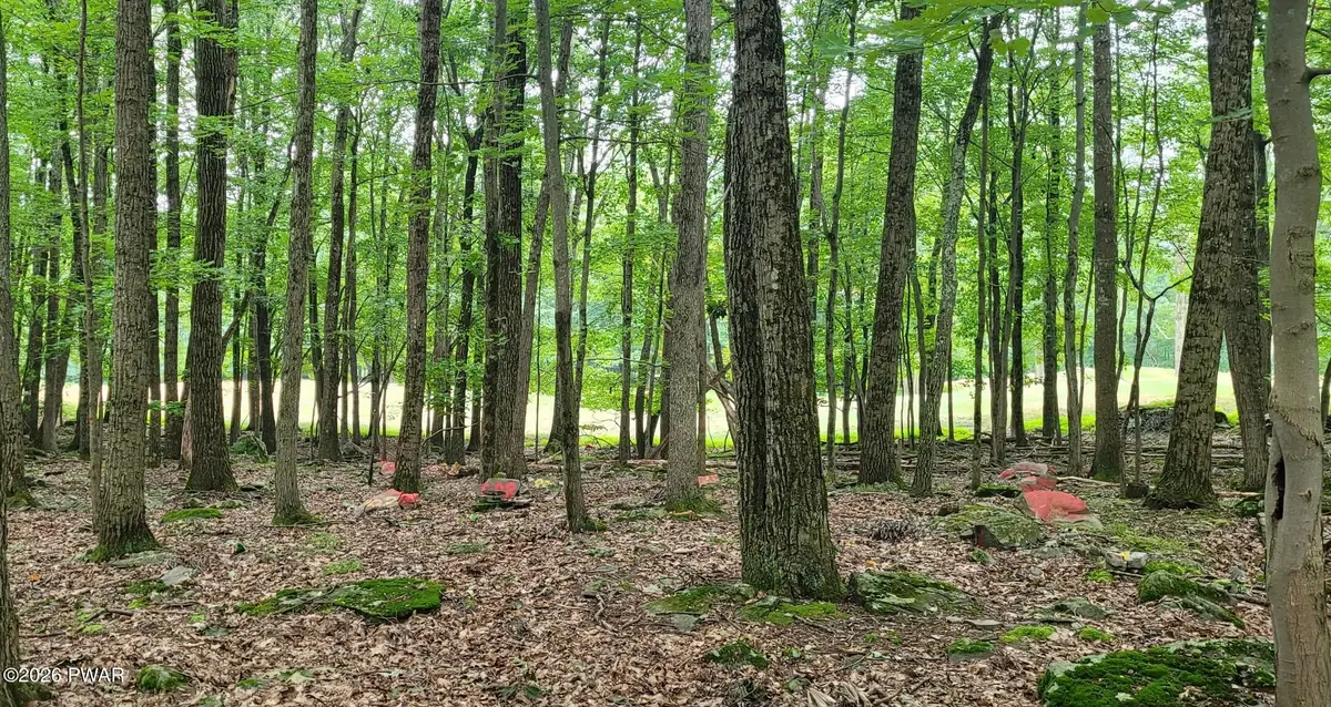 216r Big Bear, Greentown, PA 18426 - Image #1