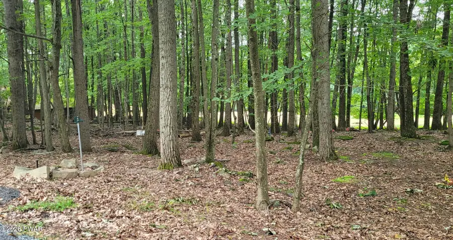 216r Big Bear, Greentown, PA 18426 - Image #2