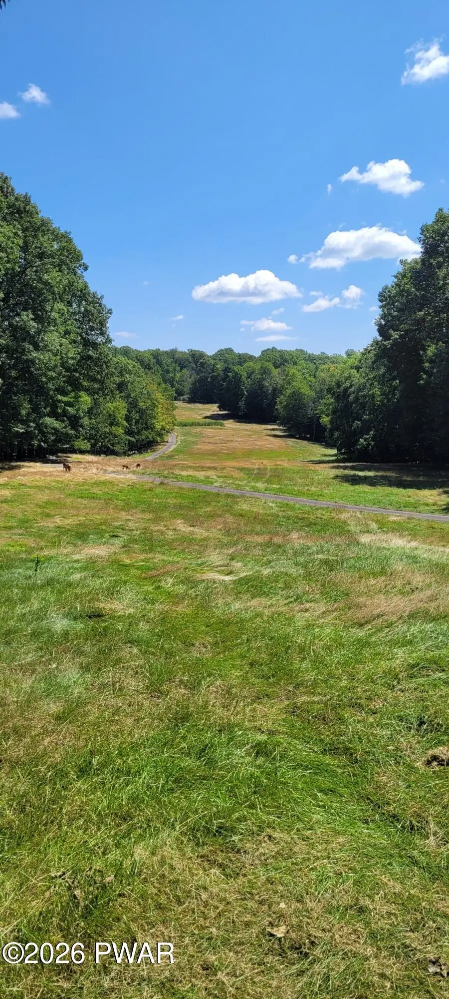 216r Big Bear, Greentown, PA 18426 - Image #3