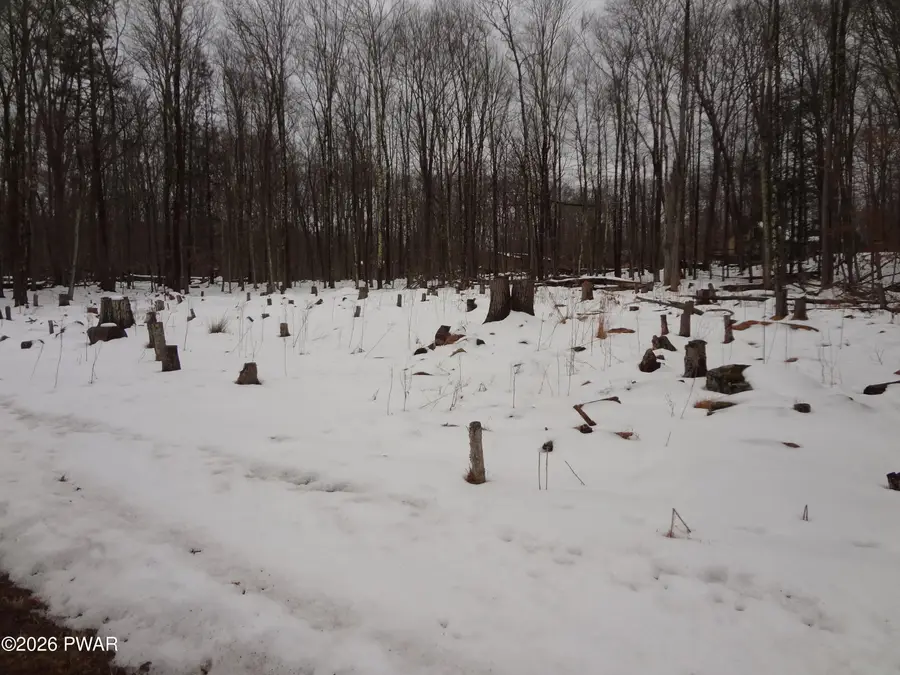 10 & 11DR South Briar Hill & W. Lakeside Drive, Lakeville, PA 18438 - #3