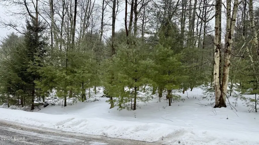 Meadows Drive, Hawley, PA 18428 - #3