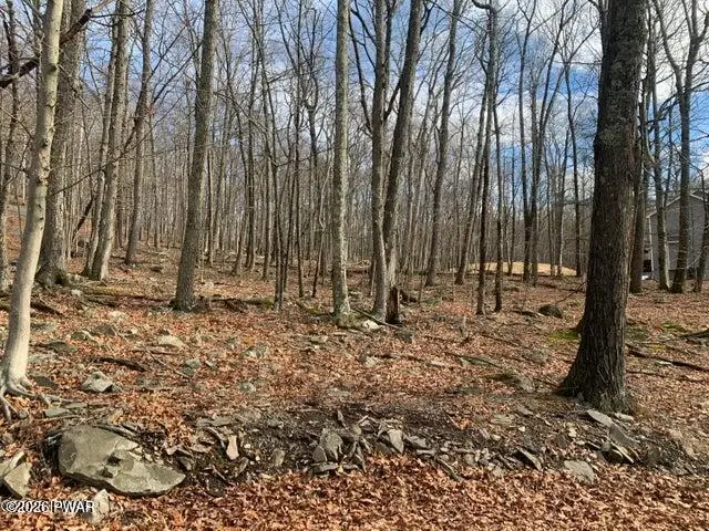 Lot 575 Owl Pass Road, Dingmans Ferry, PA 18328 - #2