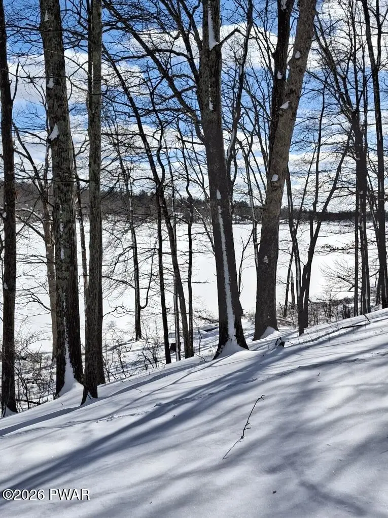 211 Brandyshire Drive, Lehman, PA 18324 - #3