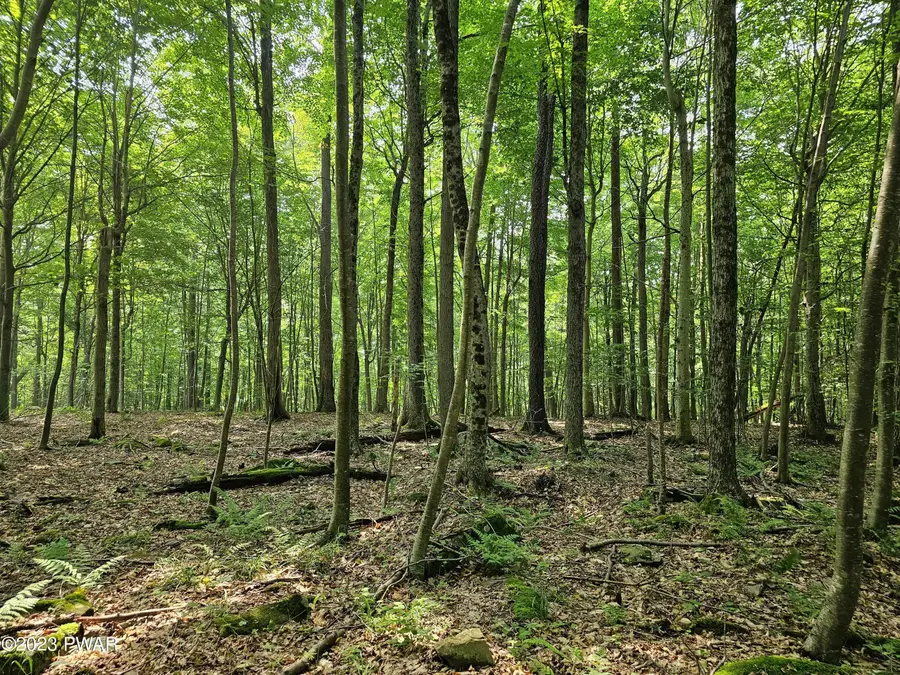 Lot 61 Rock Run Road, Equinunk, PA 18417 - #2