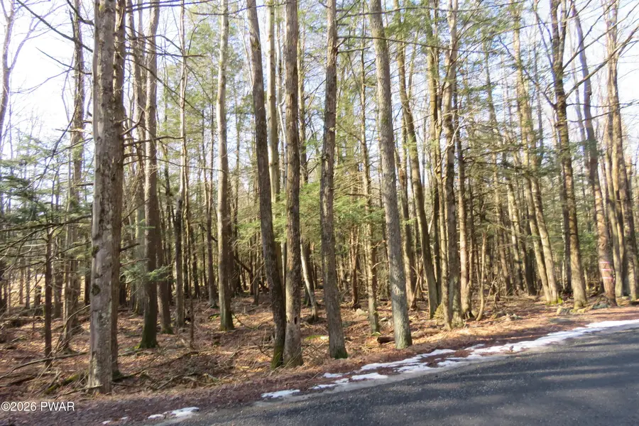 20 Orion Way, Lake Ariel, PA 18436 - #2