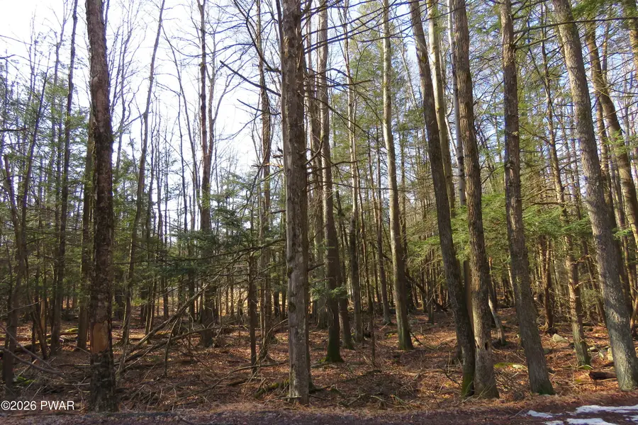 20 Orion Way, Lake Ariel, PA 18436 - #3