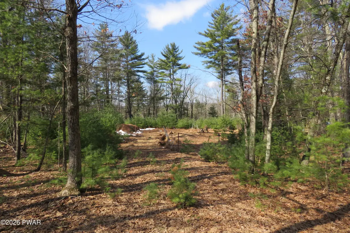 Lot 30 Ledgecrest Road, Hawley, PA 18428 - #1