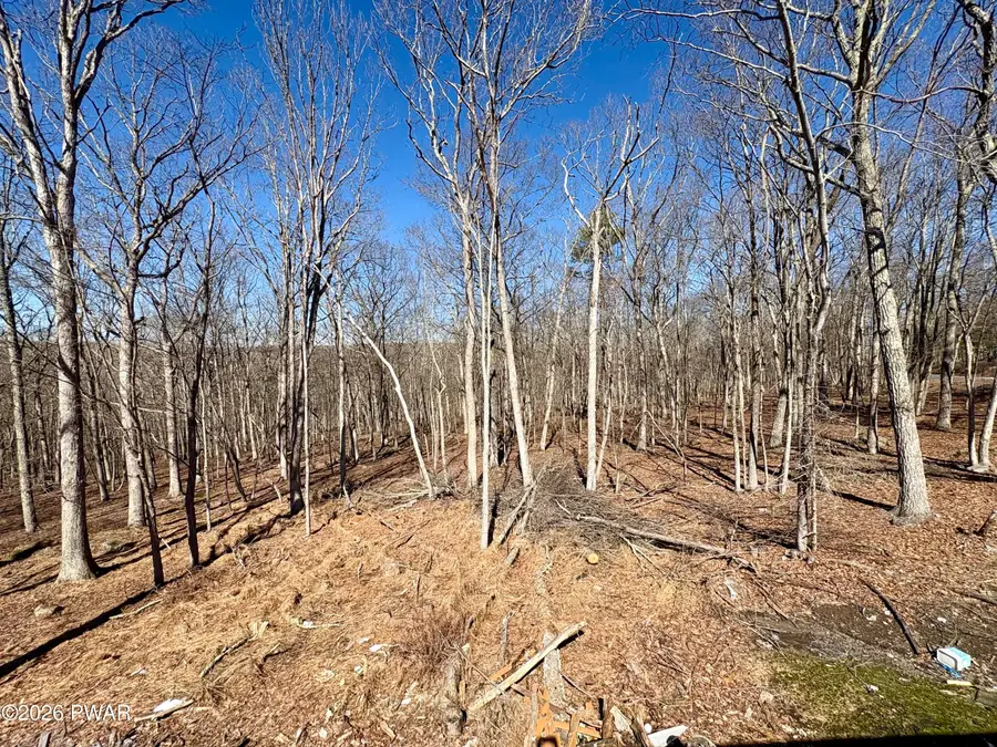 2193 Spring Drive, Bushkill, PA 18324 - #3