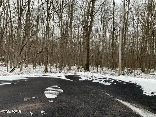 Lot 268 Evergreen Court, Lackawaxen, PA 18435 - #2