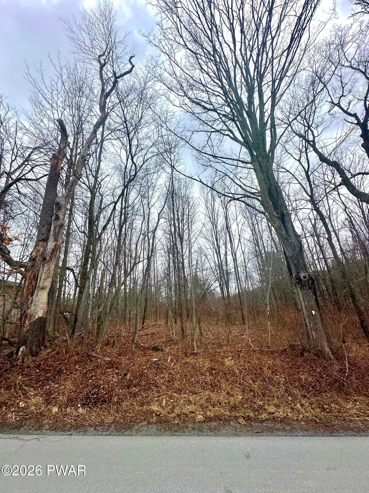 Hitchcock Road, Jefferson, PA 18436 - #1