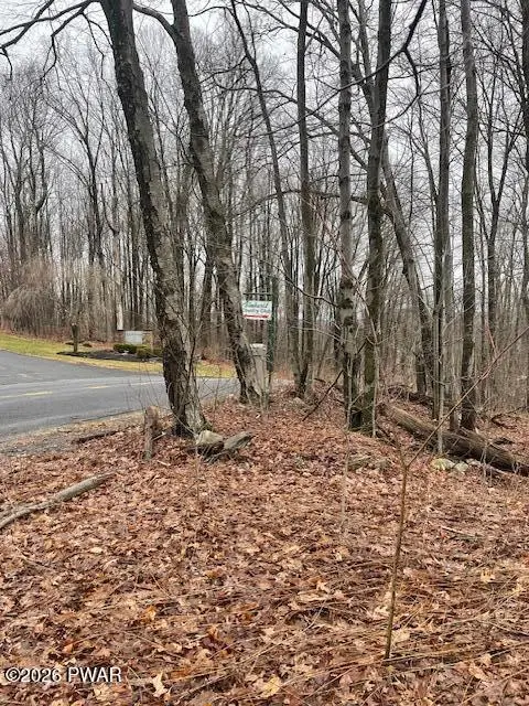 Gardner Road, Roaring Brook, PA 18444 - #2