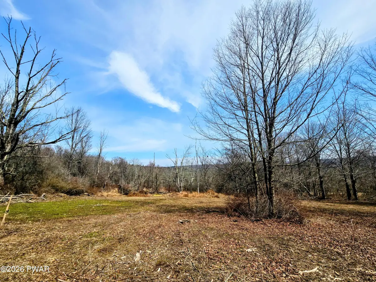 170 Zion Road, Newfoundland, PA 18445 - #1