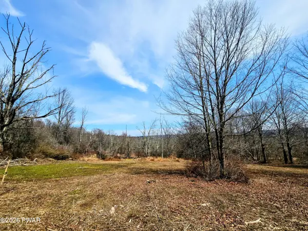 170 Zion Road, Newfoundland, PA 18445