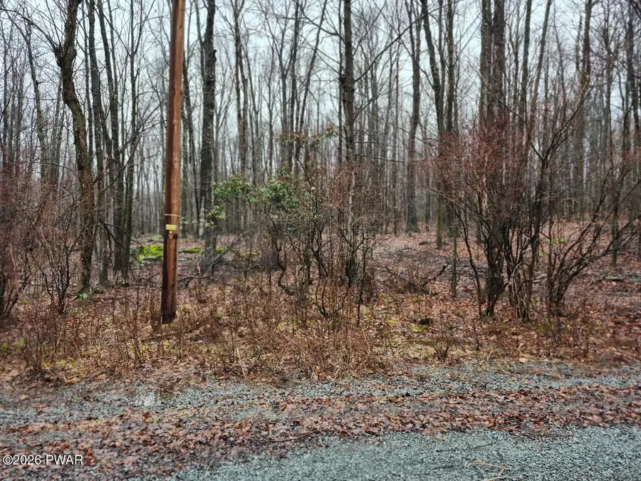 Horseshoe Drive, Honesdale, PA 18431 - #2