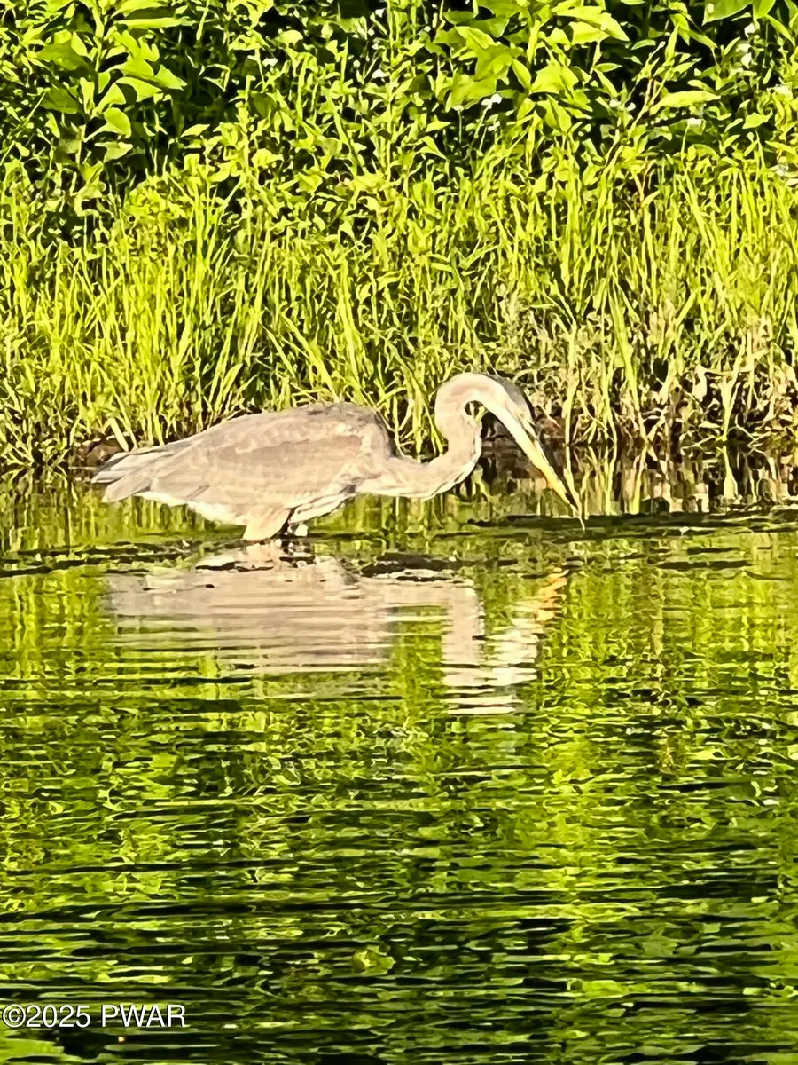 Lot 2 Warren Road, Hancock, NY 13783 - #3