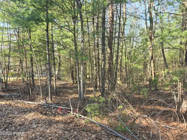 LOT 3 Stone Ridge Road, Dingmans Ferry, PA 18328