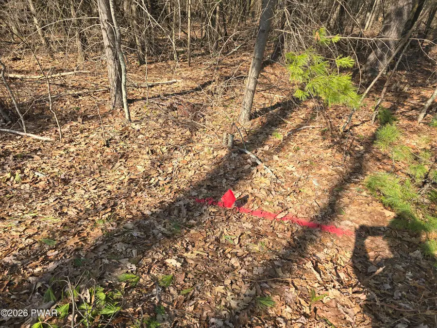 LOT 3 Stone Ridge Road, Dingmans Ferry, PA 18328 - #2