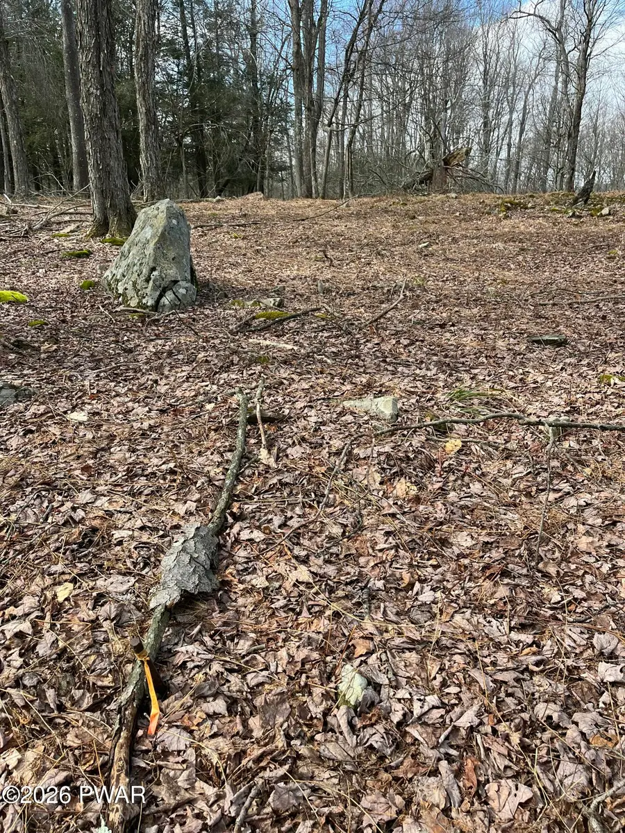 Lot 12 Sec 2, Newfoundland, PA 18445 - #3