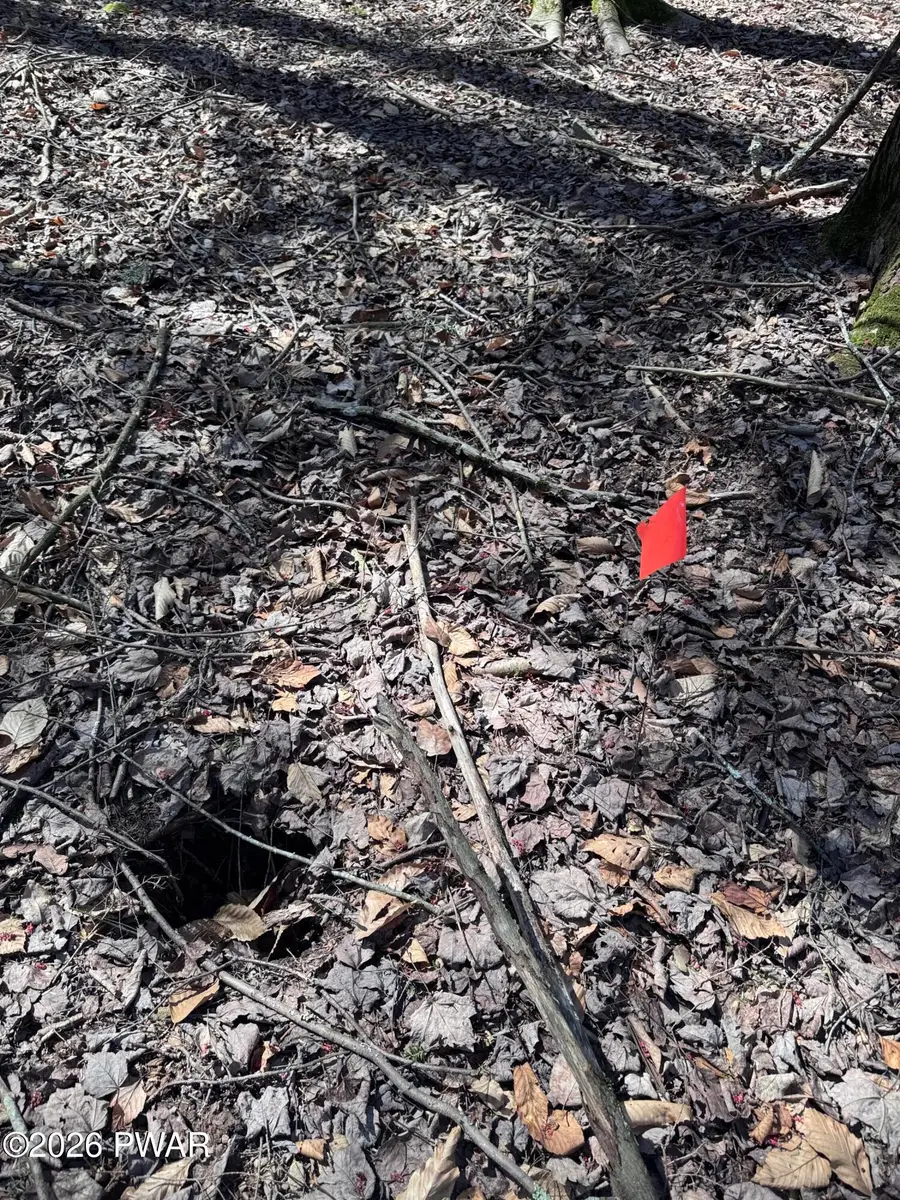 Steep Hill Road, Beach Lake, PA 18405 - #3