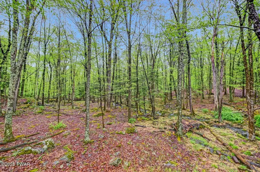 806 Pioneer Court, Lackawaxen, PA 18435 - #2